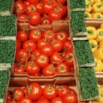 Bio-Gemüse: Das samenfeste Alibi